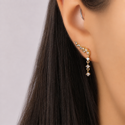 Elegant Ear Climbers